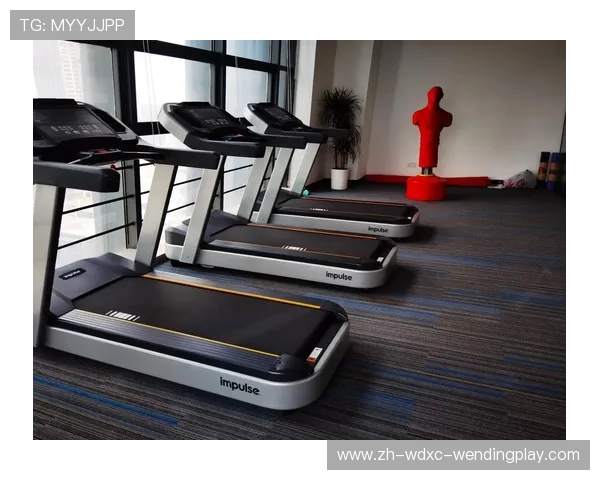 苏州室内健身器材推荐及市场分析